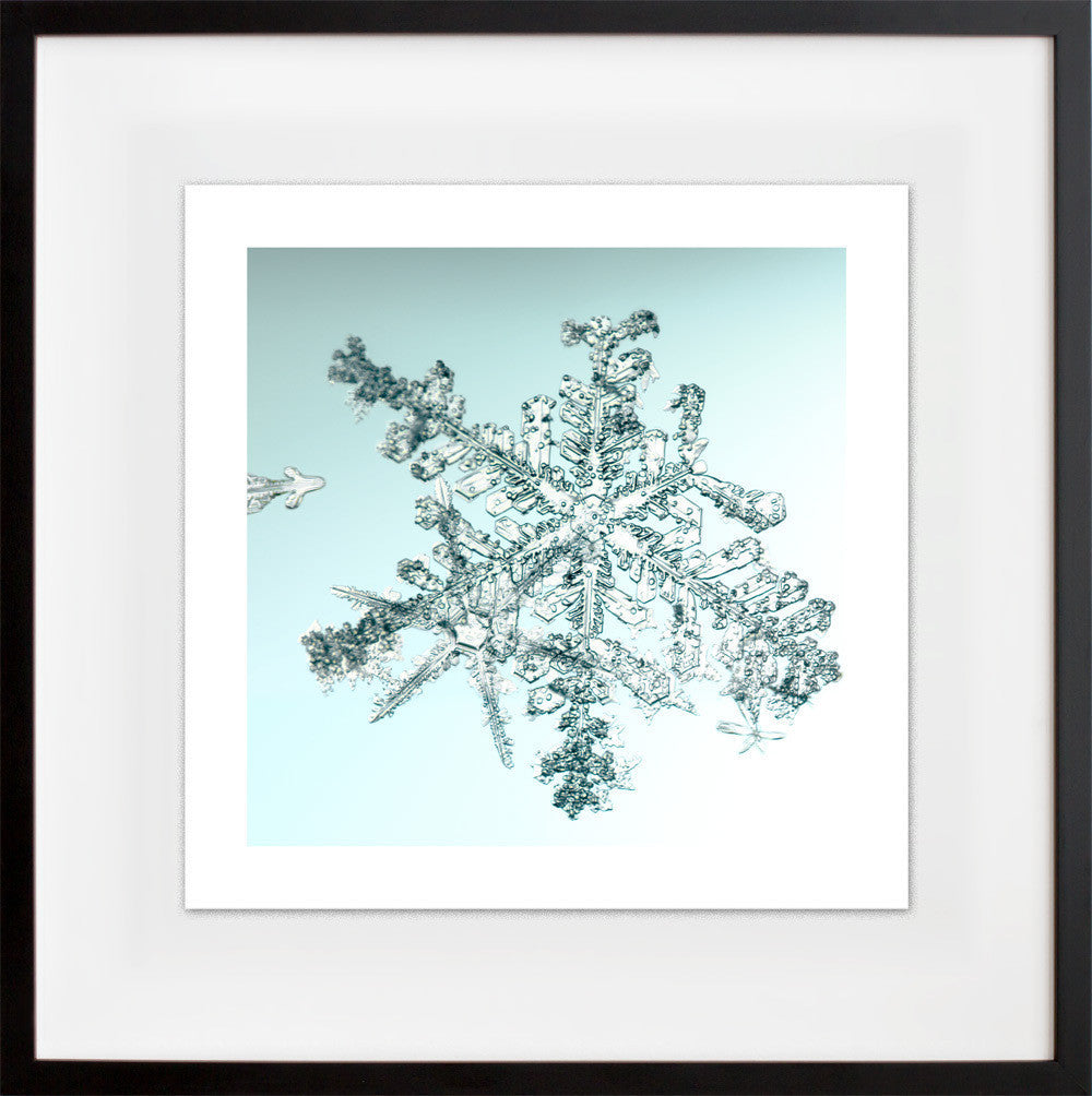 alleverythingthatisyou sno6_034.1 in a black frame