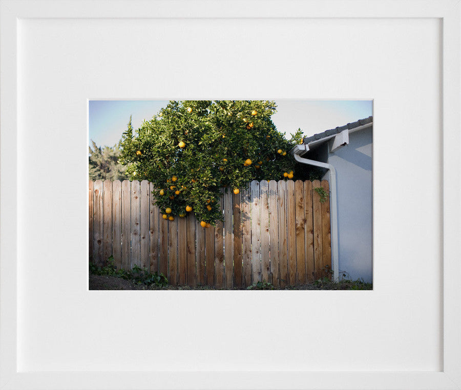 Untitled (Santa Barbara) (2009)