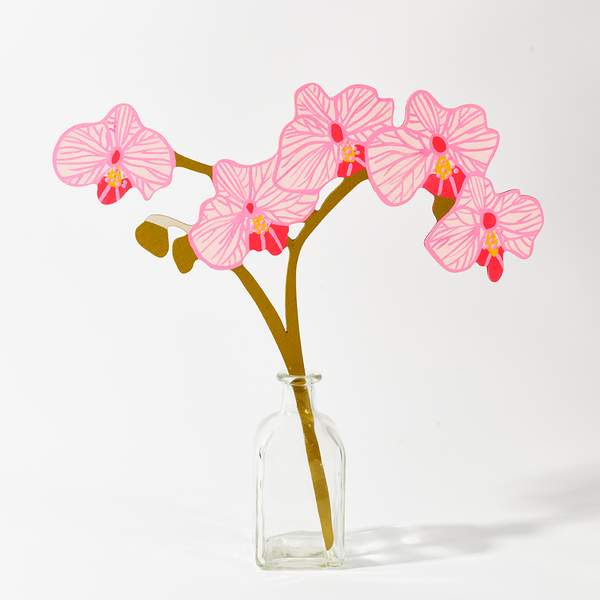 Forever Flower: Phalaenopsis Orchid