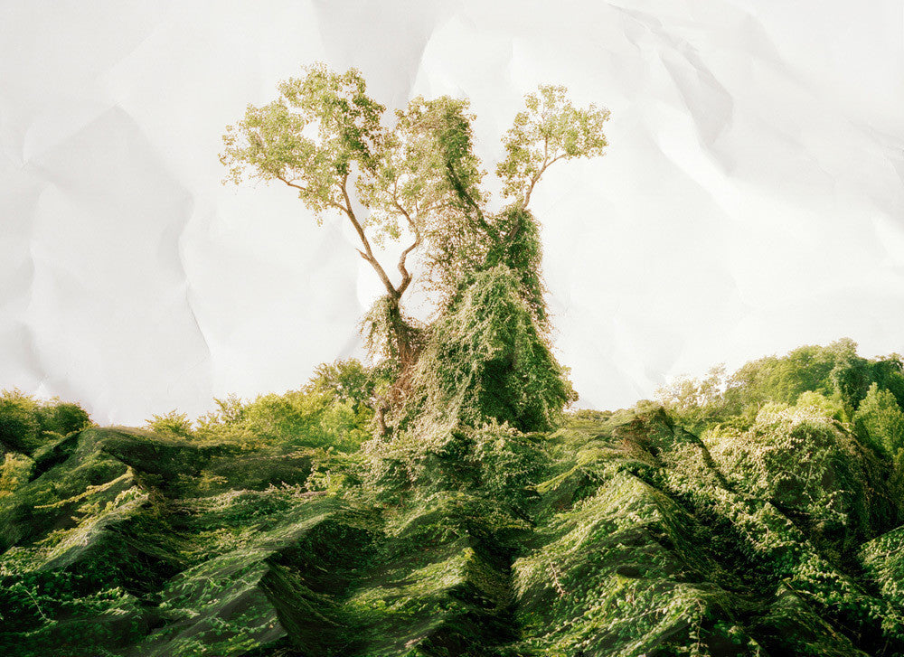 Laura Plageman's Response to Print of Kudzu, Texas