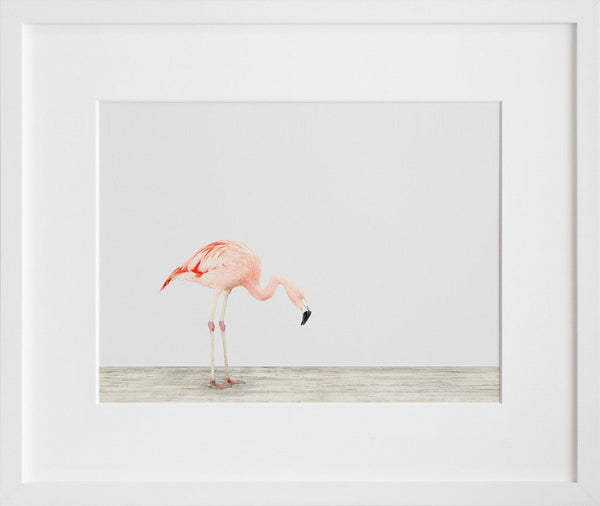Flamingo No. 4