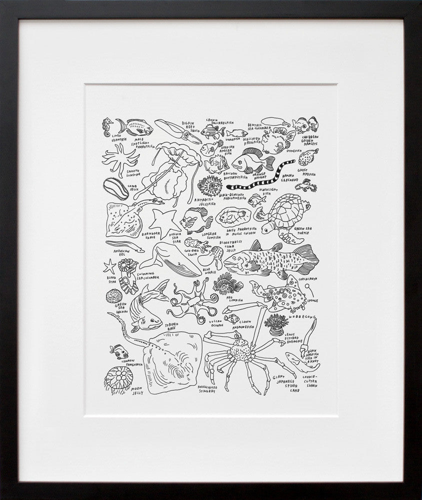 Sea Creatures at The American Museum of Natural History in a black frame