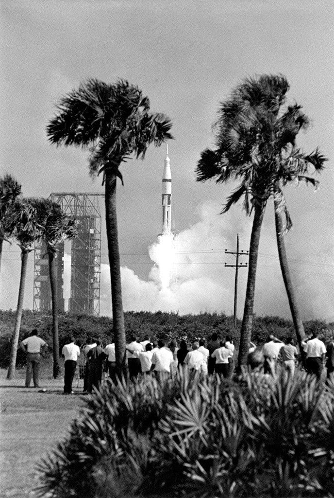 S68-48662: spectators under palm trees watching the Apollo 7 launch