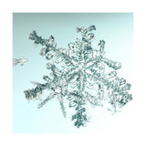 alleverythingthatisyou sno6_034.1