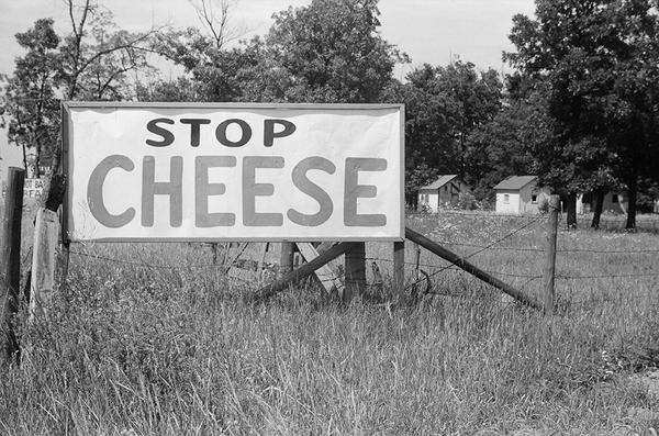 Signs on U.S. 41, Kenosha County, Wisconsin (Stop: Cheese)