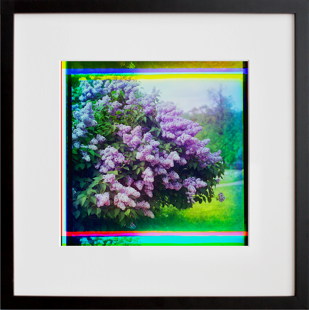Siren in a black frame
