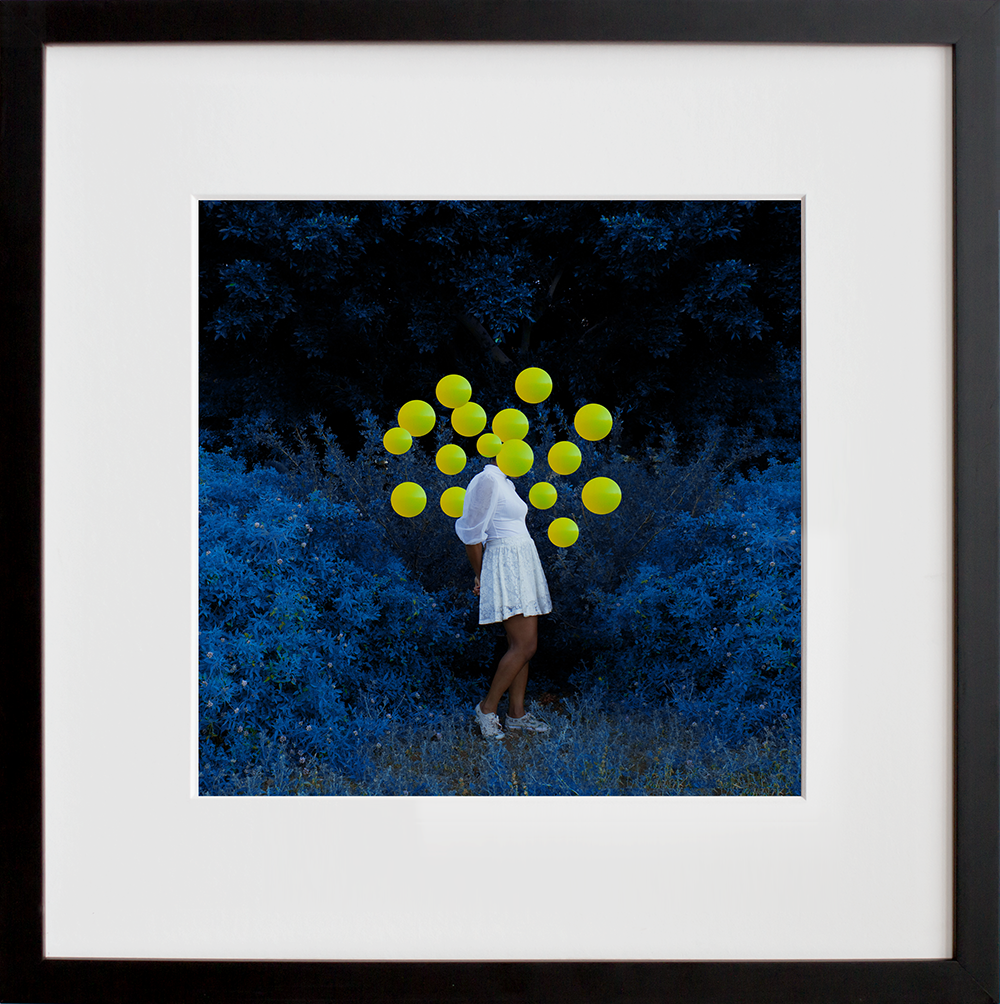 Forest lights in a black frame