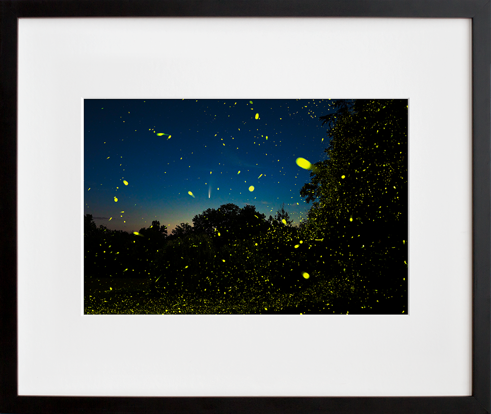 Comet NEOWISE, Fireflies and the Hudson Valley Dawn. Columbia County, NY in a black frame