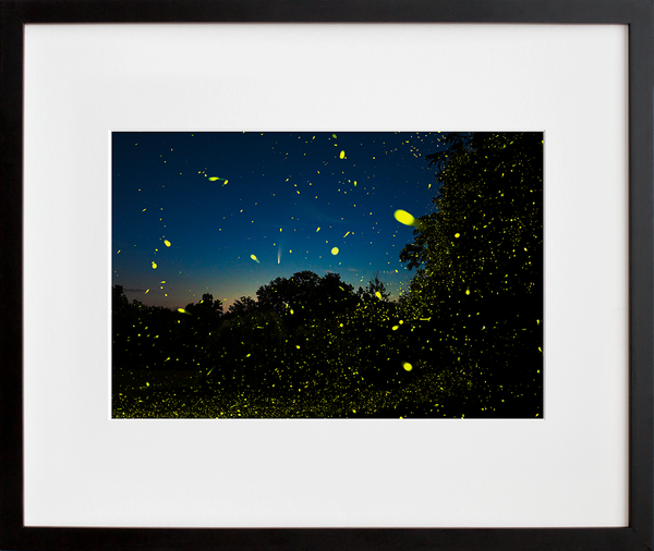 Load image into Gallery viewer, Comet NEOWISE, Fireflies and the Hudson Valley Dawn. Columbia County, NY
