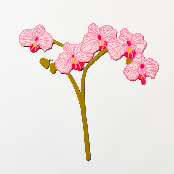 Forever Flower: Phalaenopsis Orchid