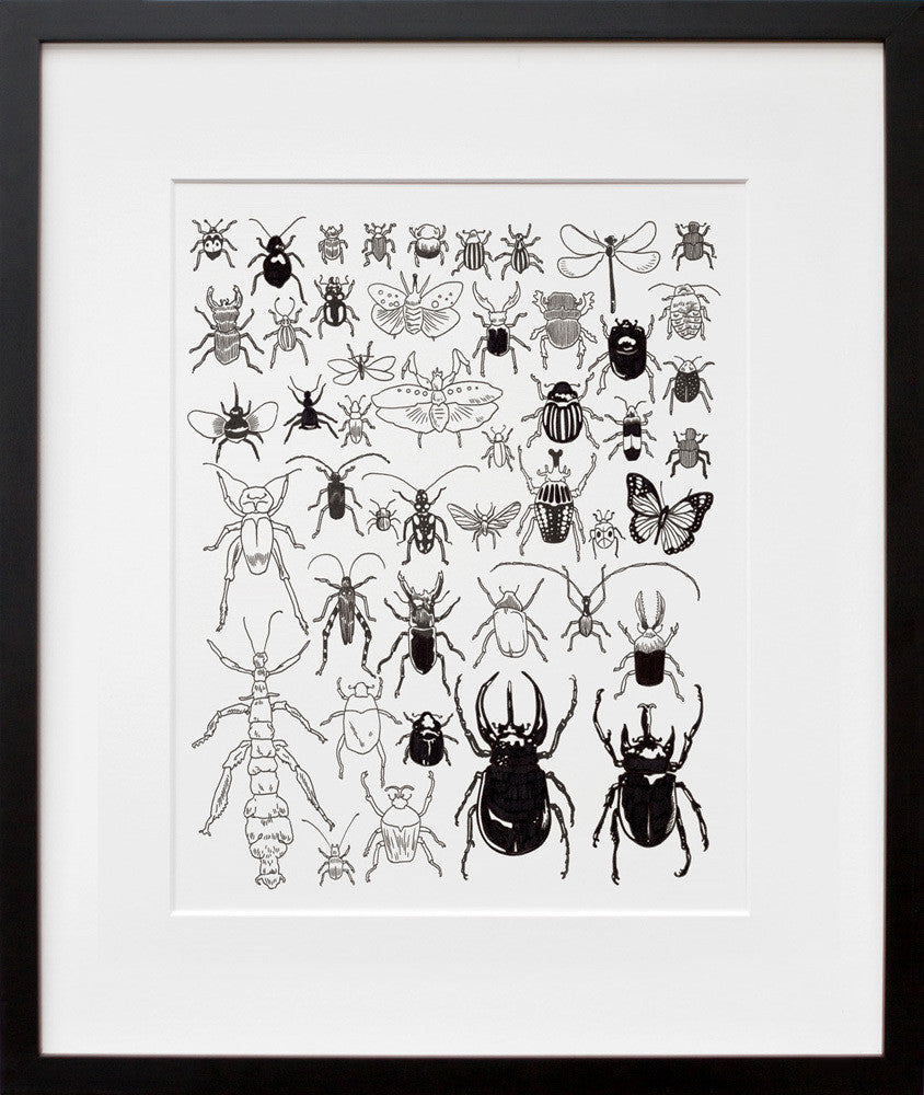 Insects and Myriapods at The American Museum of Natural History in a black frame
