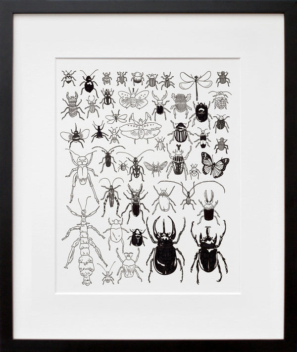 Jason Polan's Insects and Myriapods at The American Museum of Natural