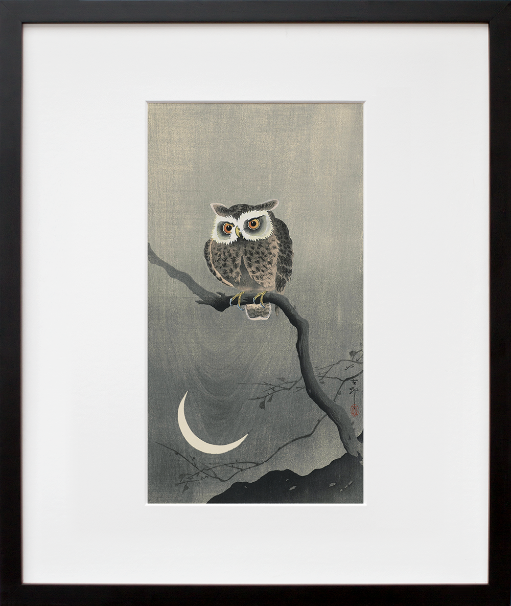 Long-eared owl on bare tree branch in a black frame