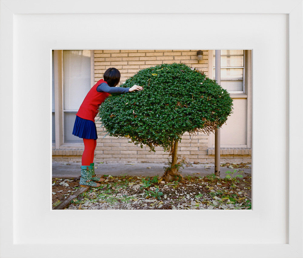 Resting on a Bush in a white frame