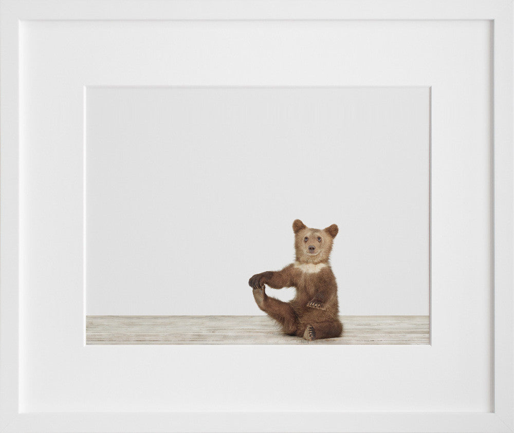 Bear Cub No. 3 in a white frame