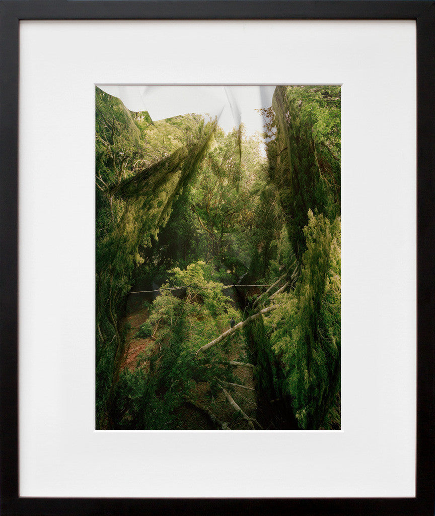 Response to Print of Vulture Roost, Texas in a black frame