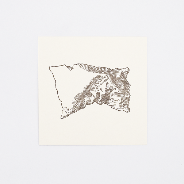 Load image into Gallery viewer, Single Pillow Studies Letterpress
